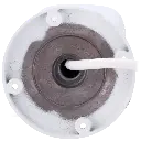 detalle3 - 2025-07-03T160810.907.webp