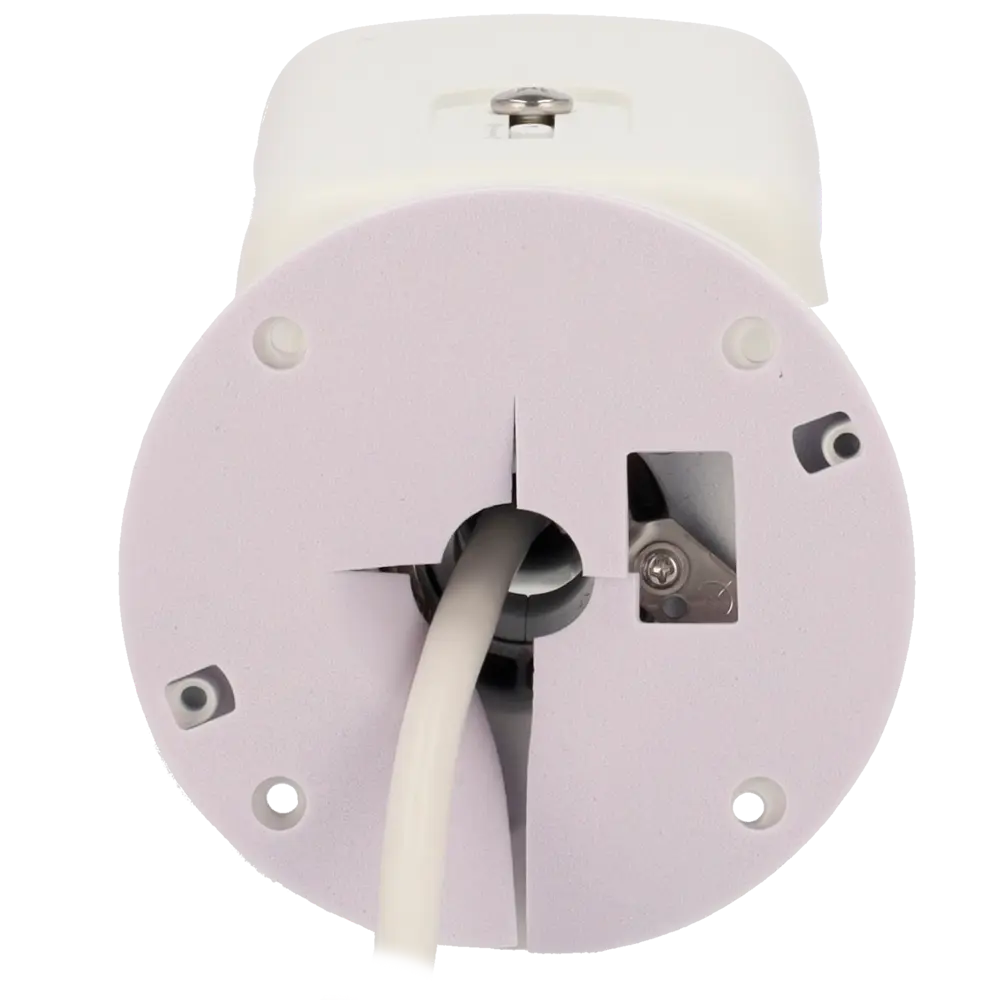 detalle3 - 2025-09-12T115241.665.webp