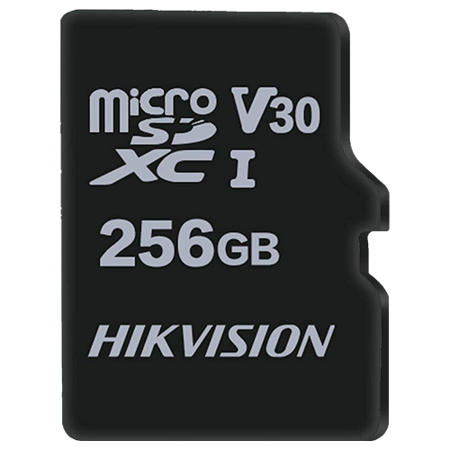 [HS-TF-M1STD-256G] HS-TF-M1STD-256G