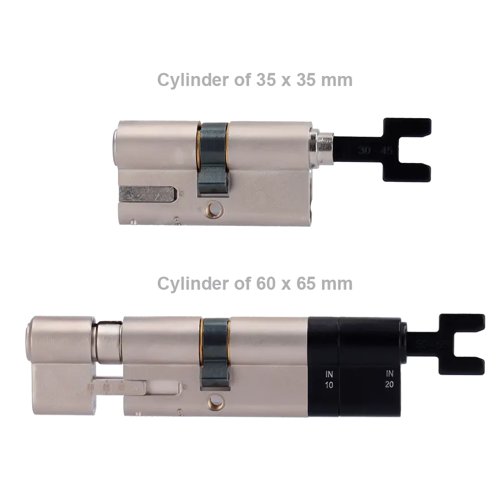 detalle1 - 2025-06-24T160014.205.webp
