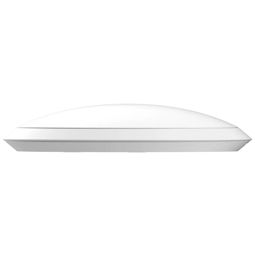 detalle2 - 2025-08-26T091211.668.webp