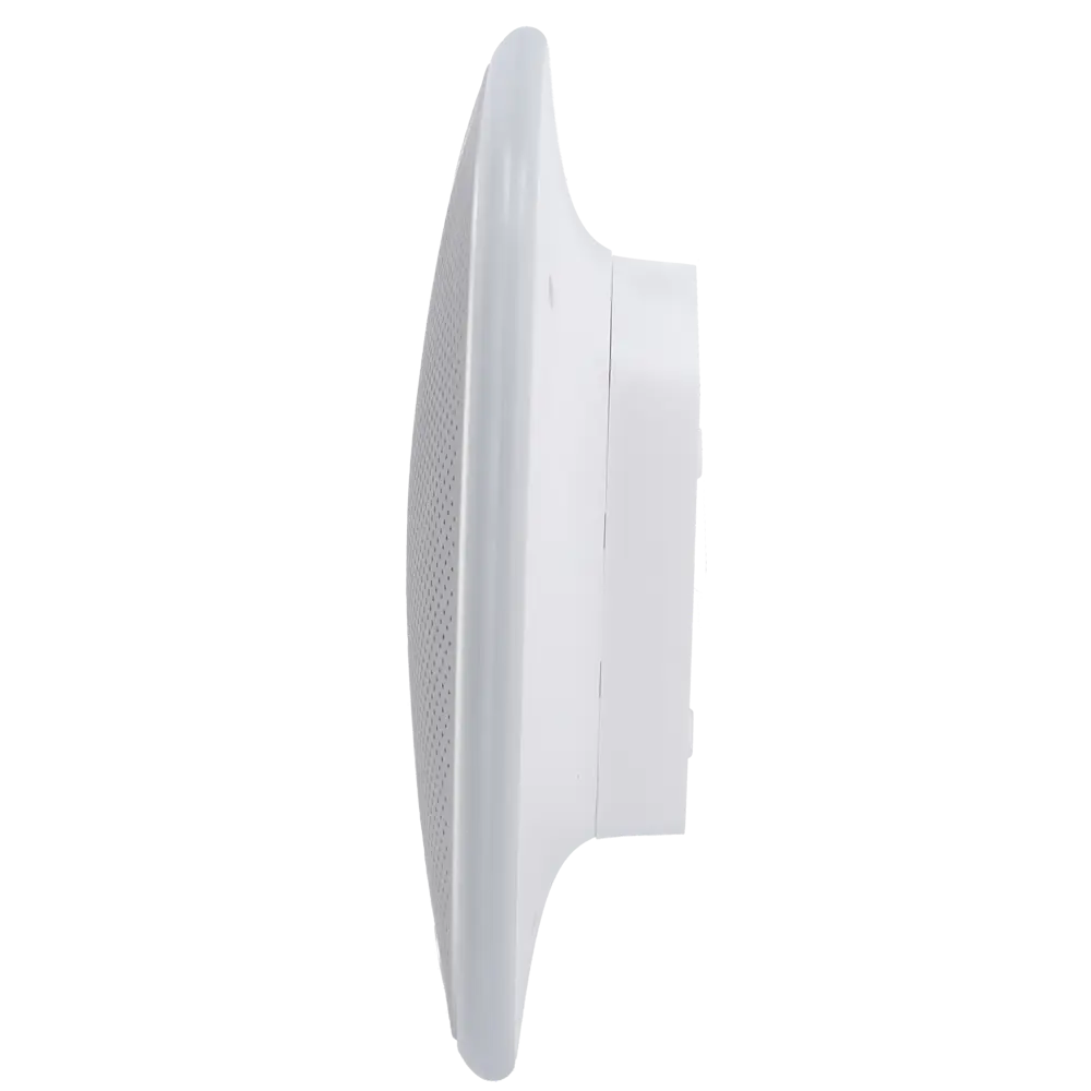 detalle2 - 2025-10-30T152117.520.webp