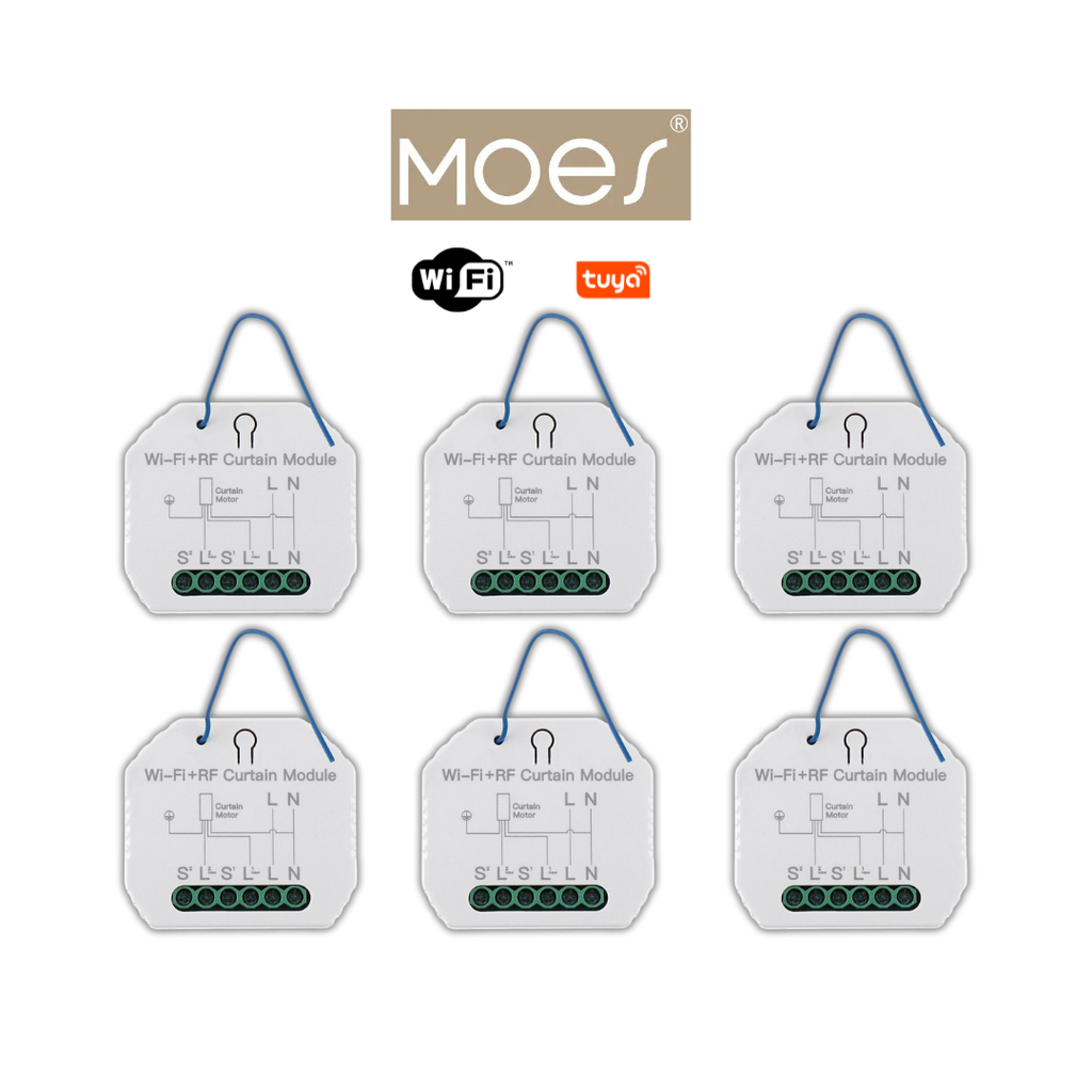PACKMO-VRW-6
