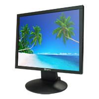 SF-MNT19-BNC/ LED / 19" / 1280x1024 / HDMI / VGA / BNC / Audio