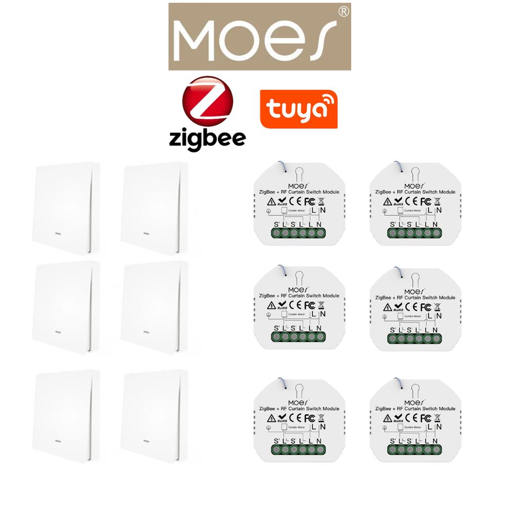 PACKMO-Z-ECL-6