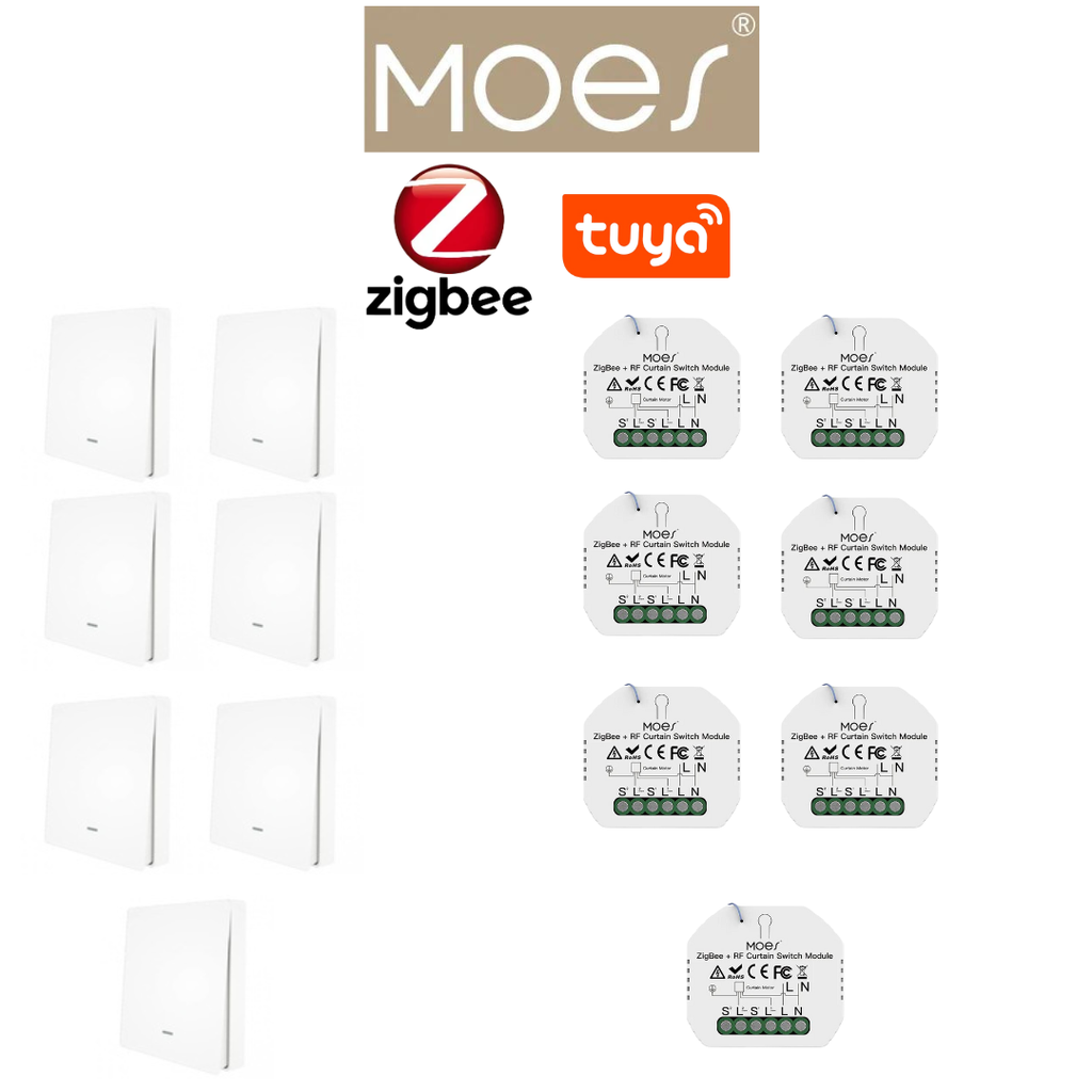 PACKMO-Z-ECL-7
