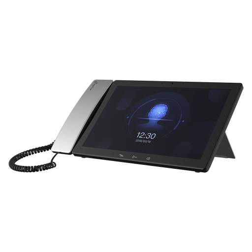[SF-VIDISP-MASTER-IP] SF-VIDISP-MASTER-IP