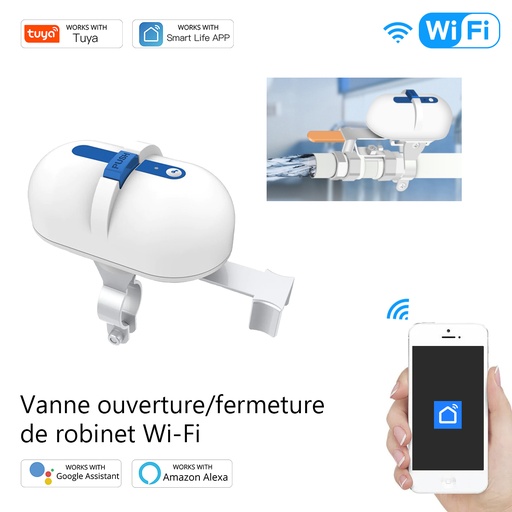 [WV-QY-EU-EN] WV-QY-EU-EN