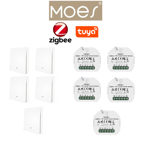 [PACKMO-Z-ECL-5] PACKMO-Z-ECL-5