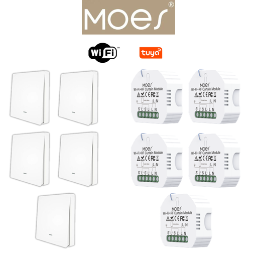 [PACKMO-W-ECL-5] PACKMO-W-ECL-5